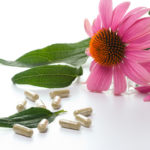 Echinacea