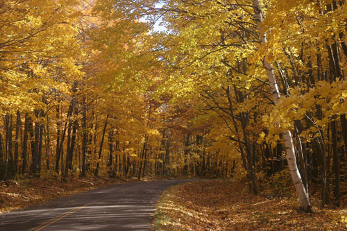 fall-road