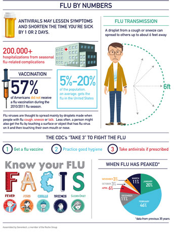 Flu by Numbers Flu Infographic
