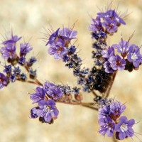 iStock_000006081804Small