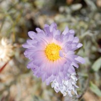 iStock_000006081958Small