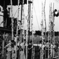 photo_corn_stalk_contest_iowa_1938 Tallest-corn-stalk contest, 1938 Iowa State FairCourtesy: Iowa State Fair/Des Moines