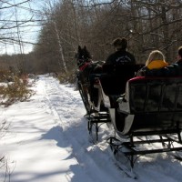 Sleigh Ride