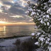 Winter Shoreline