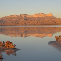 Guadalupe