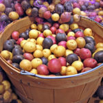 Red, white, and blue potatoes