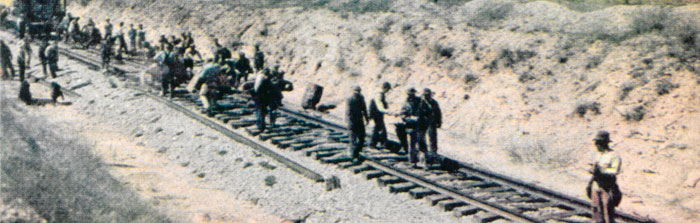 Railroad Gang at Work