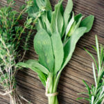 Sage