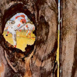 saturday-evening-post-cover-1958_08_30-knothole-closeup