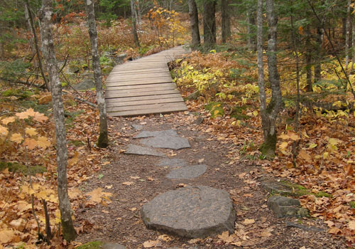 stone-path-boardwalk-cropped4
