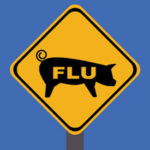 truth about swine flue