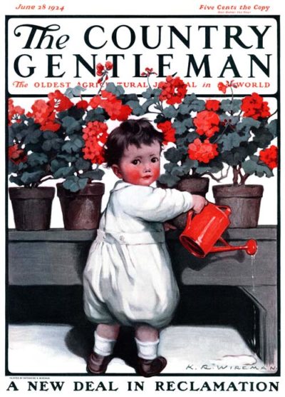 Toddler Watering Geraniums by K. R. Wireman