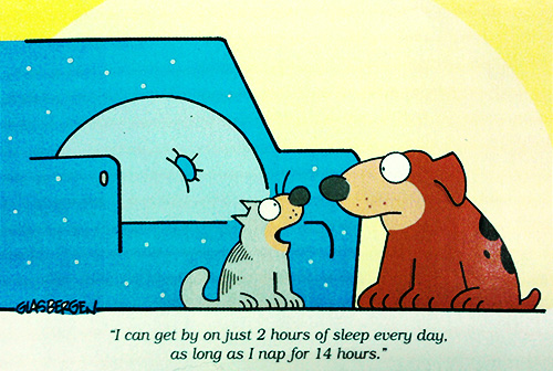  “I can get by on just 2 hours of sleep every day, as long as I nap for 14 hours.”