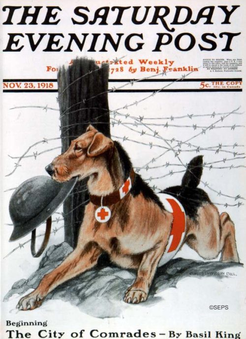 A dog wearing Red Cross symbols, holding a doughboy helmet