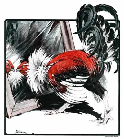 Fancy Rooster in Mirror by Paul Bransom from April 21, 1923
