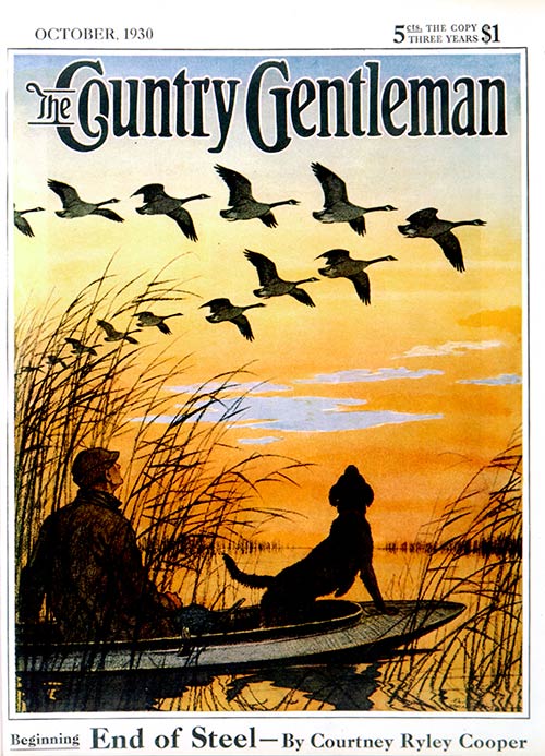 Geese in Formation Over Marsh – Paul Bransom October 1, 1930 Geese in Formation Over Marsh – Paul Bransom October 1, 1930
