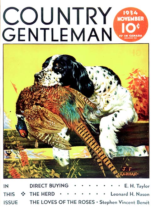 Dog with Pheasant by J.F. Kernan From November 1934 