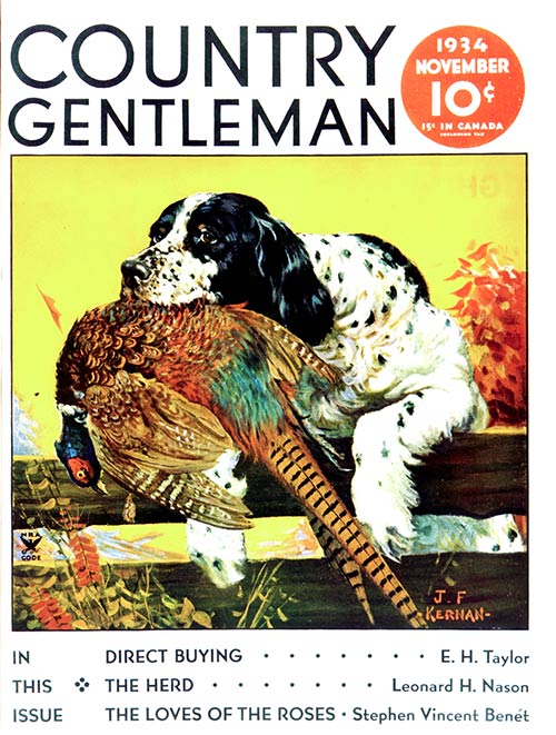 Dog with Pheasant by J.F. Kernan From November 1934 Dog with Pheasant by J.F. Kernan From November 1934