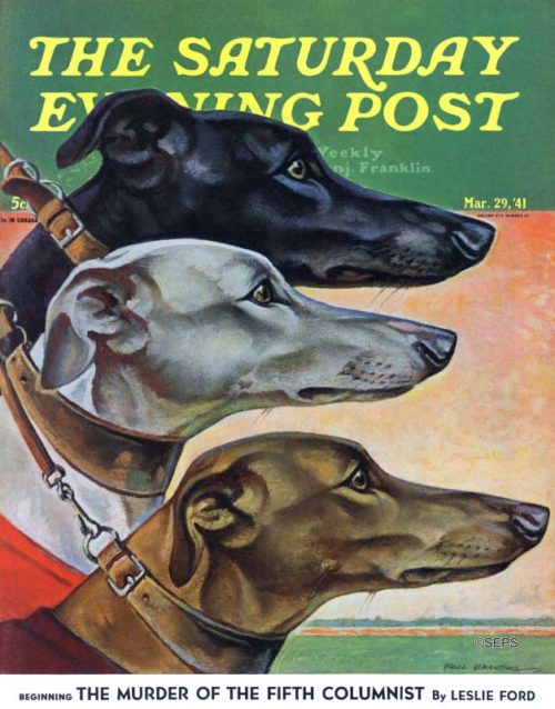 Greyhounds in profile