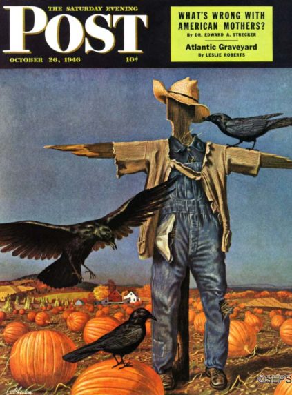 Scarecrow in pumpkin field, with crows