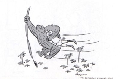 Gorilla swings between trees with a man tucked into his arm