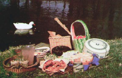 Picnic items in a wooded area next to a swan in a lake.