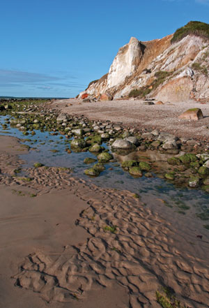 beach