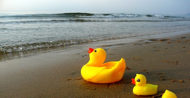 Rubber Duck Family on the beach