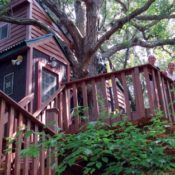 Two women in a tree house