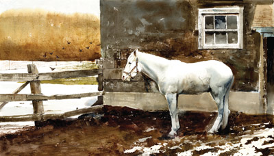A white horse next to a farm house