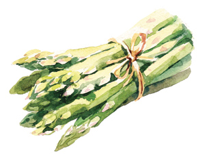 Asparagus