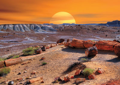 Desolate beauty: Petrified Forest National Park, one of the many sites championed for preservation by John Muir.