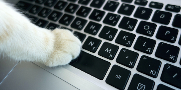 Cat paw on a space bar