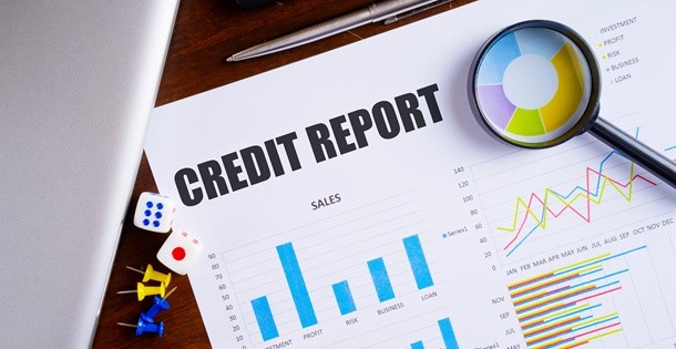 Credit Report