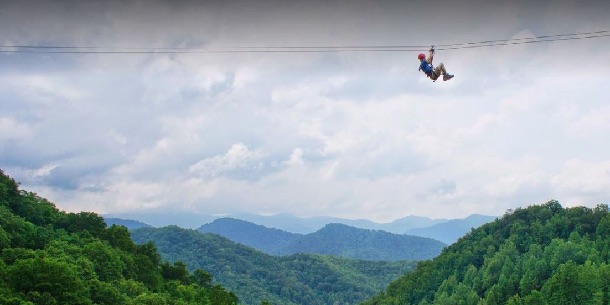 Zipline above a forest