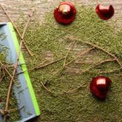 Christmas pine needles on a wooden floor