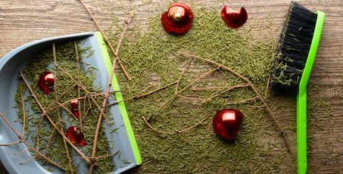 Christmas pine needles on a wooden floor