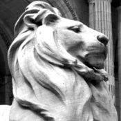 Lion statue