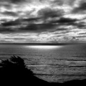 Farallon Islands