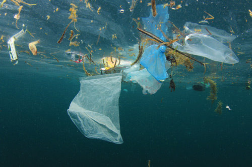 Plastic bags floating in the ocean