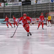 A Game of Bandy. This sport resembles hockey, but uses a small ball instead of a puck.