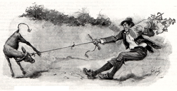 Man pulling a dog on a leash