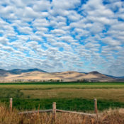 A green field in Montana with mountains on the horizon.