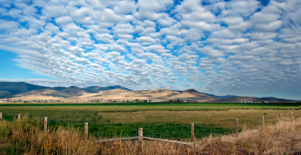 A green field in Montana with mountains on the horizon.