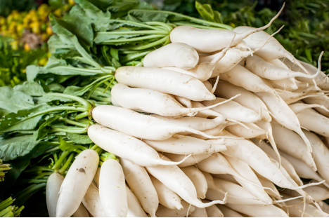 Pile of daikon radish