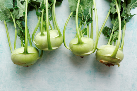 Kohlrabi plants arranged on a table.