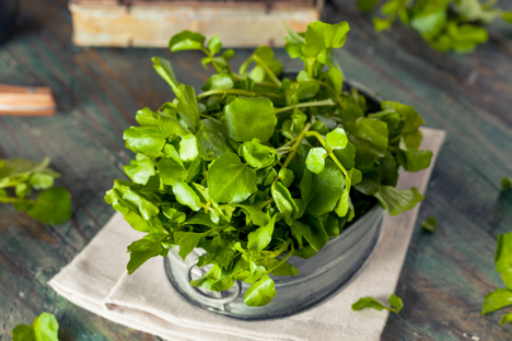 Watercress leaves in a clay bowl.