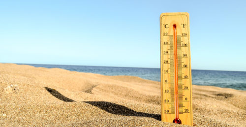 Wooden thermometer sticking out of the sand on a beach.