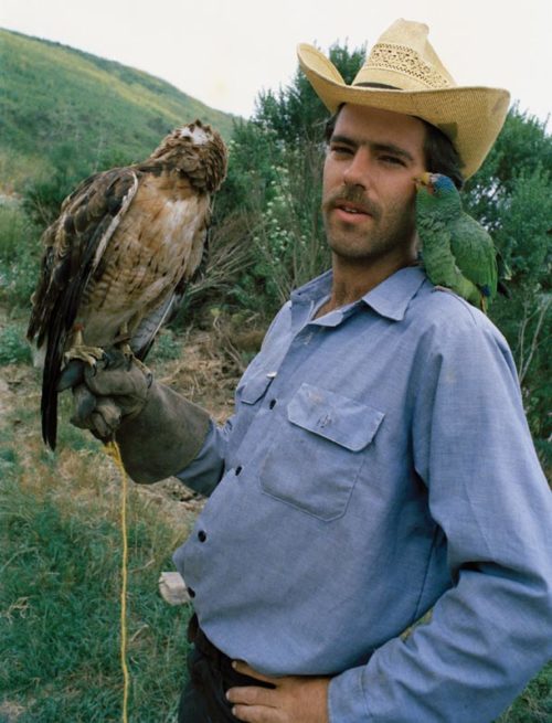 Macduff Everton with a hawk and parrot.