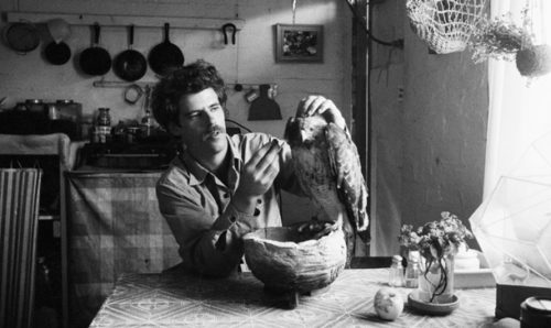 Macduff Everton grooming a hawk at a dinner table.